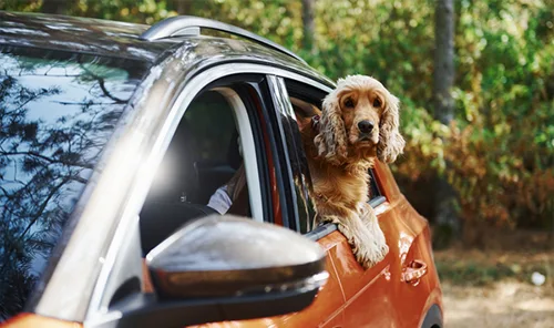The pros and cons of using a novated lease to finance a new car